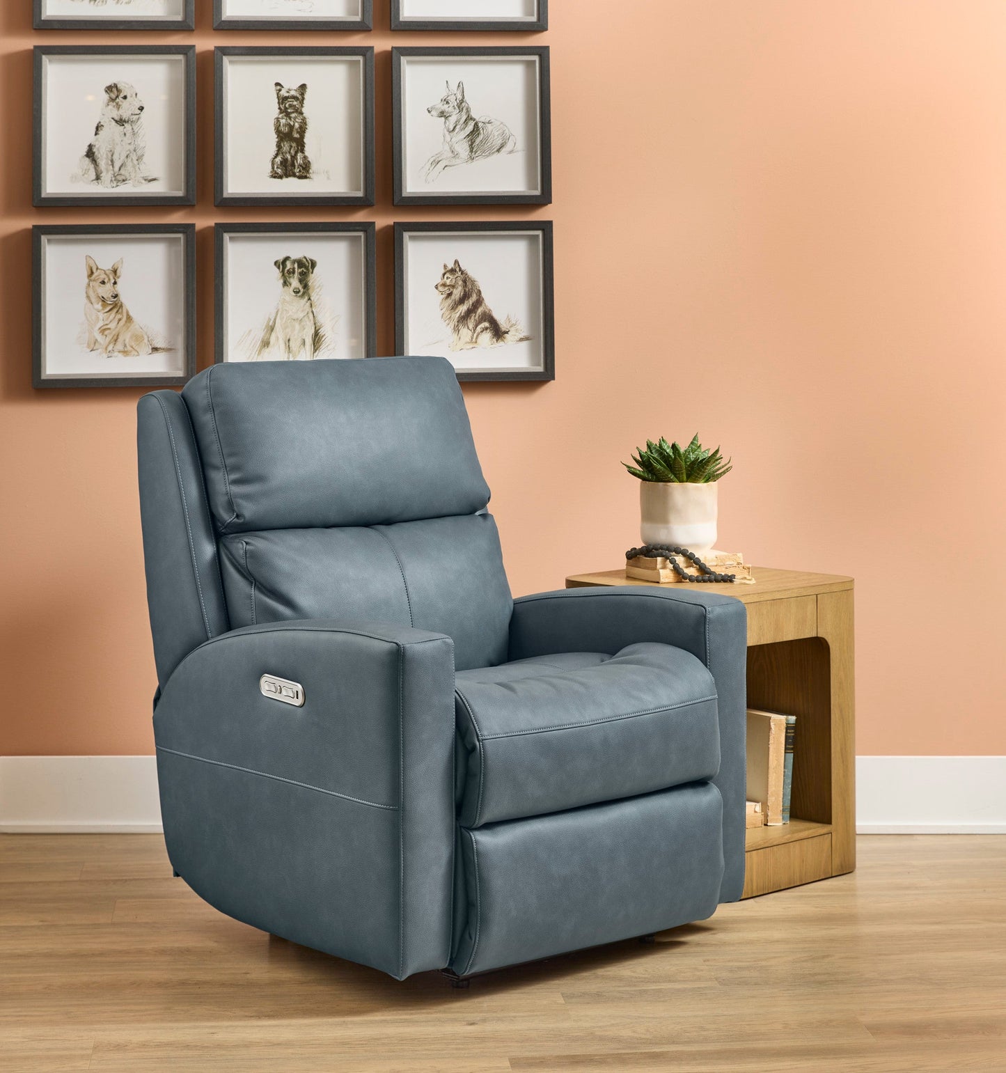 Catalina Leather Power Recliner with Power Headrest