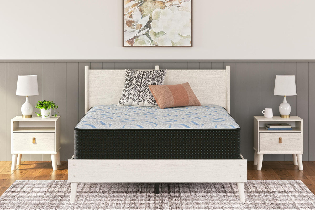 Ashley Sleep Elite Springs Plush Mattress - Vaughn Outlet Kankakee IL