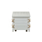 Storage Trunk