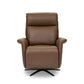 Haven Riverstone Leather Power Swivel Recliner with Power Headrest, Lumbar, Heat, Massage & Ventilation